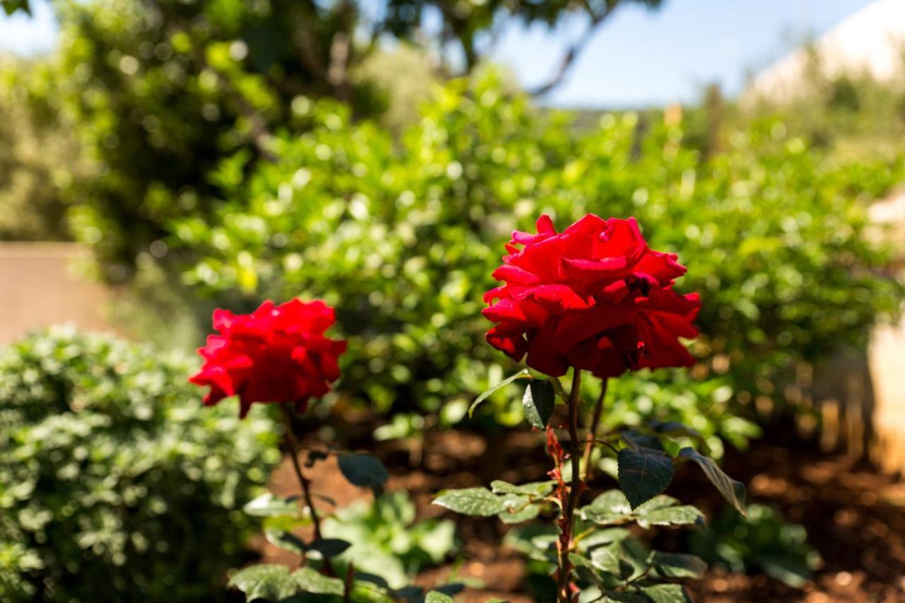 מרינה Villa Lovric מראה חיצוני תמונה