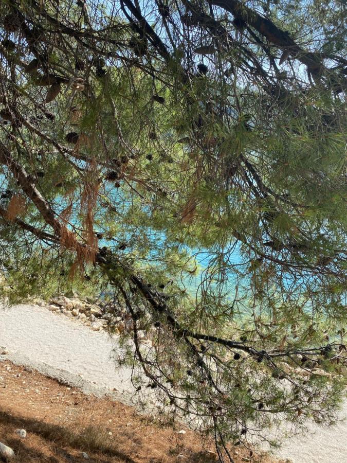 מרינה Villa Lovric מראה חיצוני תמונה